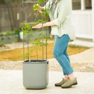 EZ Self-Watering Tomato Planter with Trellis - Climbing Planting Stand for Thriving Tomatoes, Self-Watering Design, Sturdy Trellis Structure, Essential Garden Addition