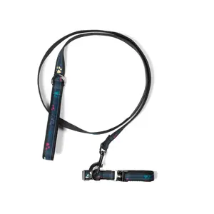 Fetch Pet Collar and Leash Set