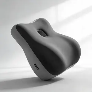 Ergonomic Office Back Support Cushion with Armrests – Upright Sitting Posture Pillow