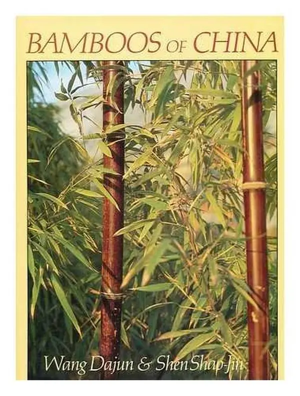 USED-Bamboos of China by Dajun Wang (Hardcover)