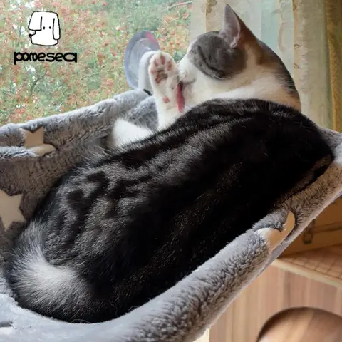 Folding Geometric Modern Star Mesh Cat Hammock for Window - Glow-in-the-Dark, Cordless, Machine Washable Polyester Mix Bed, Sturdy Metal Frame, Strong Suction Cups, 44lb Capacity Window Perch for Small Dogs