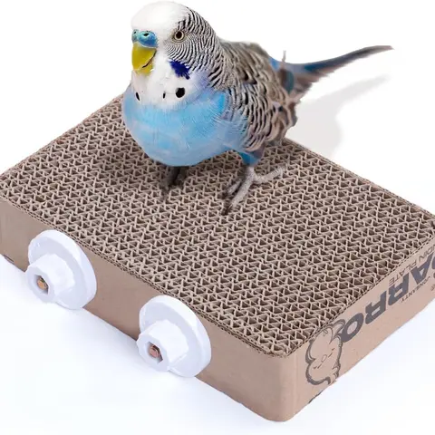 7.3" Paper Bird Toys | Clean Beak & Reduce Boredom for Small Birds