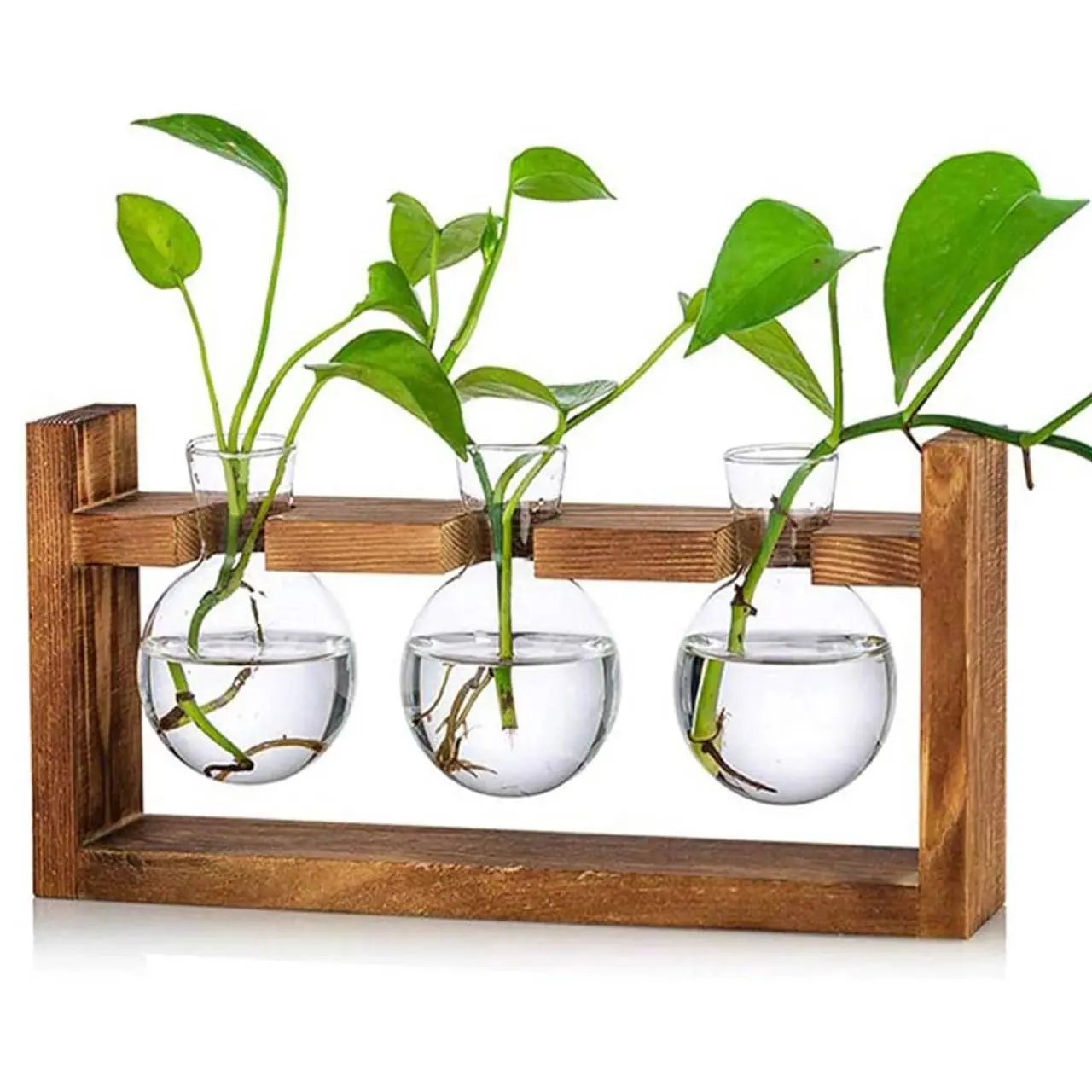Decorative Propagation Station 3 BulbsPlants Terrarium for Women Plant LoverGifts Home Decor Cool Vintage StyleNatural Wood Clear Glass Frame for Home Kitchen Wedding Gift for Women Plant Lover