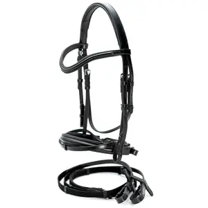 Jeffers Uniquely English "Aachen" Leather Dressage Bridle with Reins for Horses