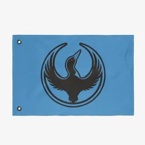 Minnesota Rebel Alliance Flag | Protest, Anti ICE Equality Banner | Double Sided Minnesota Pride