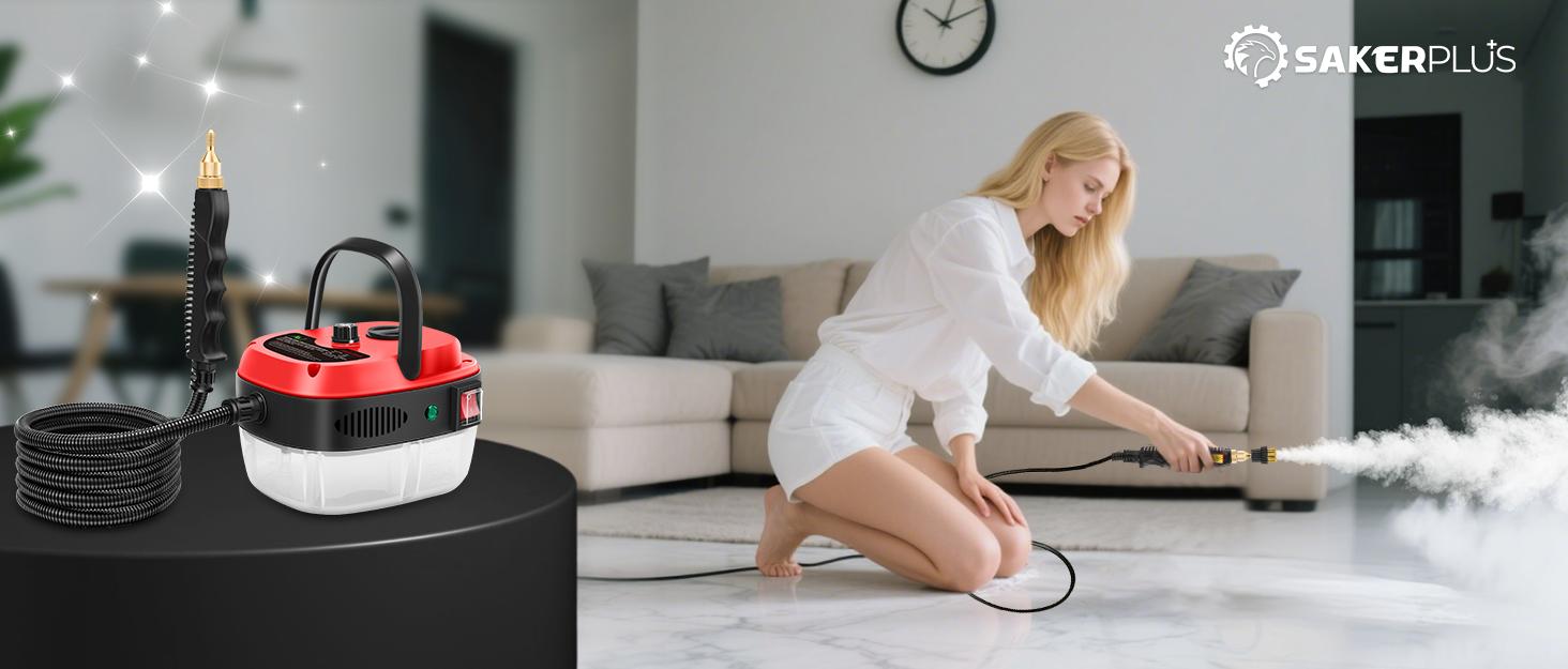 Portable Handheld Steam Cleaner, High Temperature Pressurized Steam Cleaning Machine with Brush Heads for Kitchen Furniture Bathroom Car, 110V