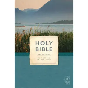 NLT Economy Outreach Bible, Large Print (Economy Outreach: Large Print, NLT) Paperback – Large Print, February 1, 2024