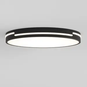 Delray 15.7 in. LED modern flush mount light 5 CCT Delray 15.7 in. LED modern flush mount light 5 CCT