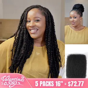【Valentine’s Day Hot Launch】Afro Kinky Bulk Synthetic Hair | For Braiding & Mini Twist Hairstyles