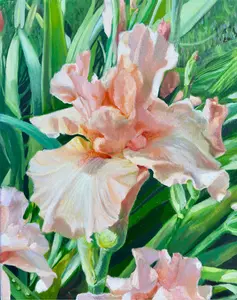 Grace's Iris 1620