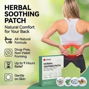 Lower Back Herbal Heat Patches for Pain Relief & Relaxation, 30 Count Value Box, Soothing Warm Therapy for Lumbar Support, Ideal for Office Workers, Drivers, Athletes & Active Adults, Hypoallergenic Body Care Patch Gentle Pack daily spine disposable ice