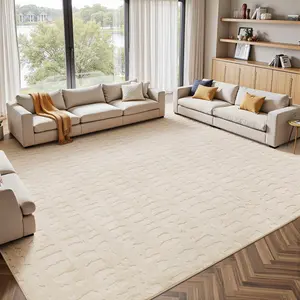 LOKHOM Soft Fluffy Washable Area Rug Micro Loop Non-Slip Carpet for Living Room Dining Room Kitchen Solid Beige Color Fashion Abstract Style