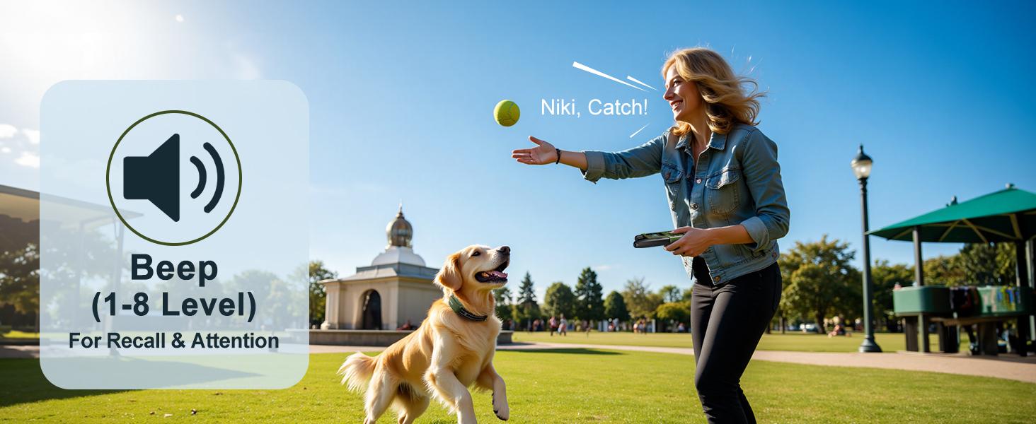 JUGBOW Dog Training Collar 4500FT Dog Training Behavior Aid, Remote IPX8 Waterproof with 4 Training Modes, Outdoor Rechargeable E-Collar DT61 #Summervibes #petlovers JUGBOW Dog Training Collar 4500FT Dog Training Behavior Aid, Remote IPX8 Waterproof with 4 Training Modes, Outdoor Rechargeable E-Collar DT61 #Summervibes #petlovers