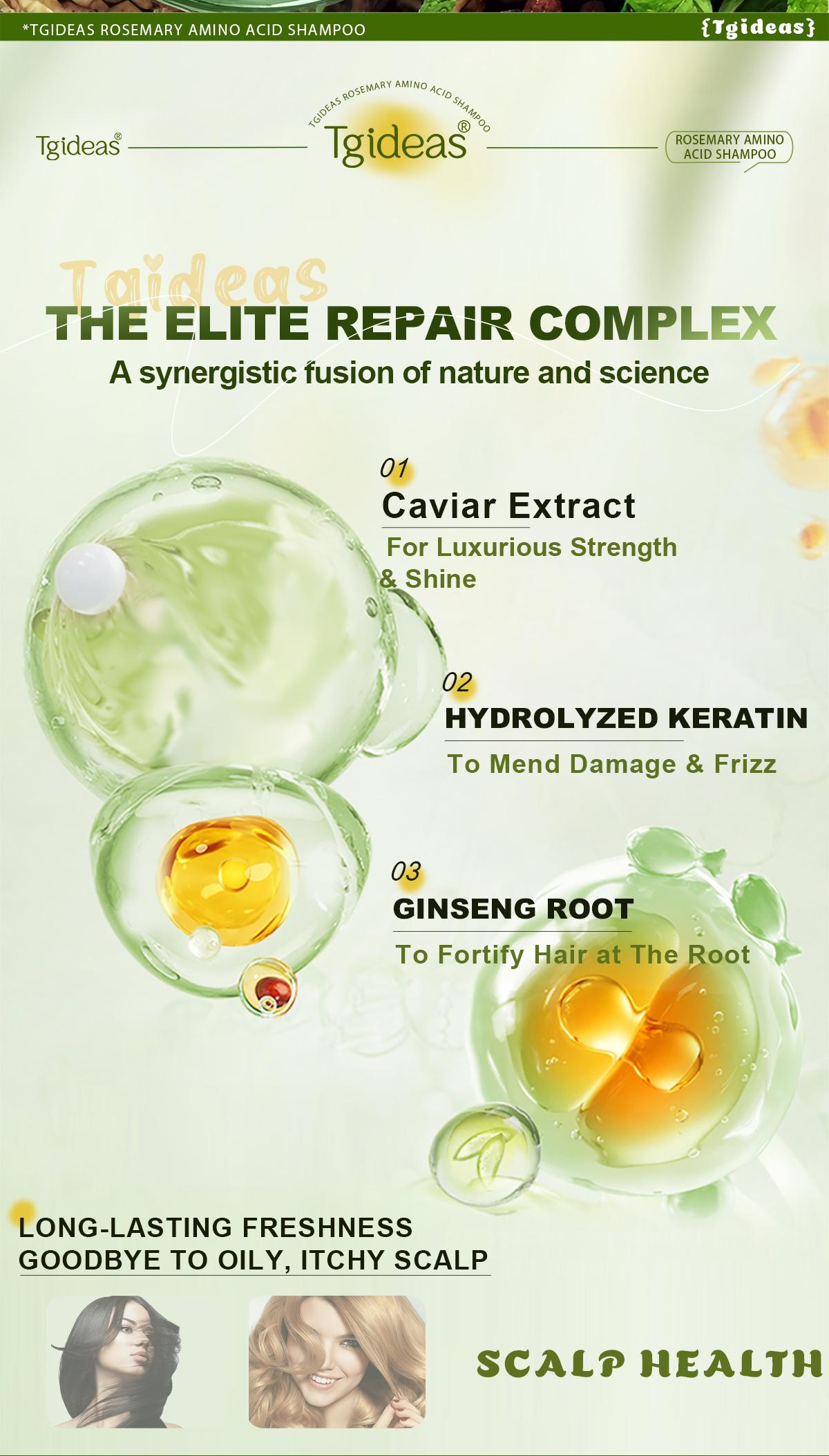 Tgideas Rosemary Batana Oil Shampoo - Promotes hair growth, strengthens hair strands, cleanses hair, contains natural extracts to care for hair, daily hair care 250ml (8.45oz). Nourishing Repair