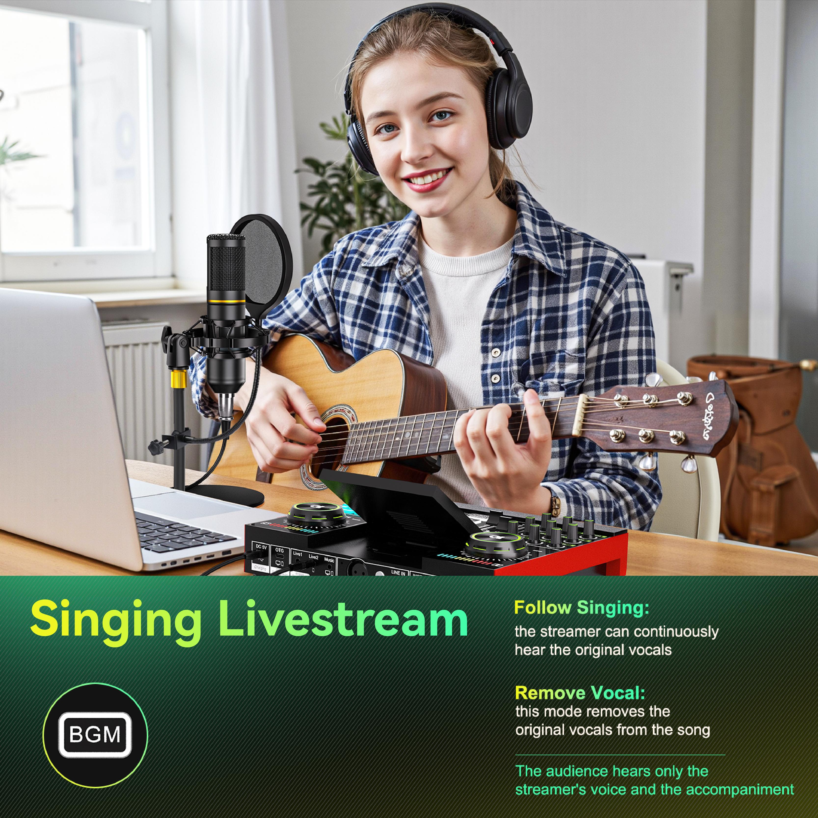 Tenlamp G10-BM800 sound card kit, podcast equipment with customizable sound effects, two-level noise reduction, computer audio mixing, condenser microphone, suitable for live streaming, gaming, podcasting