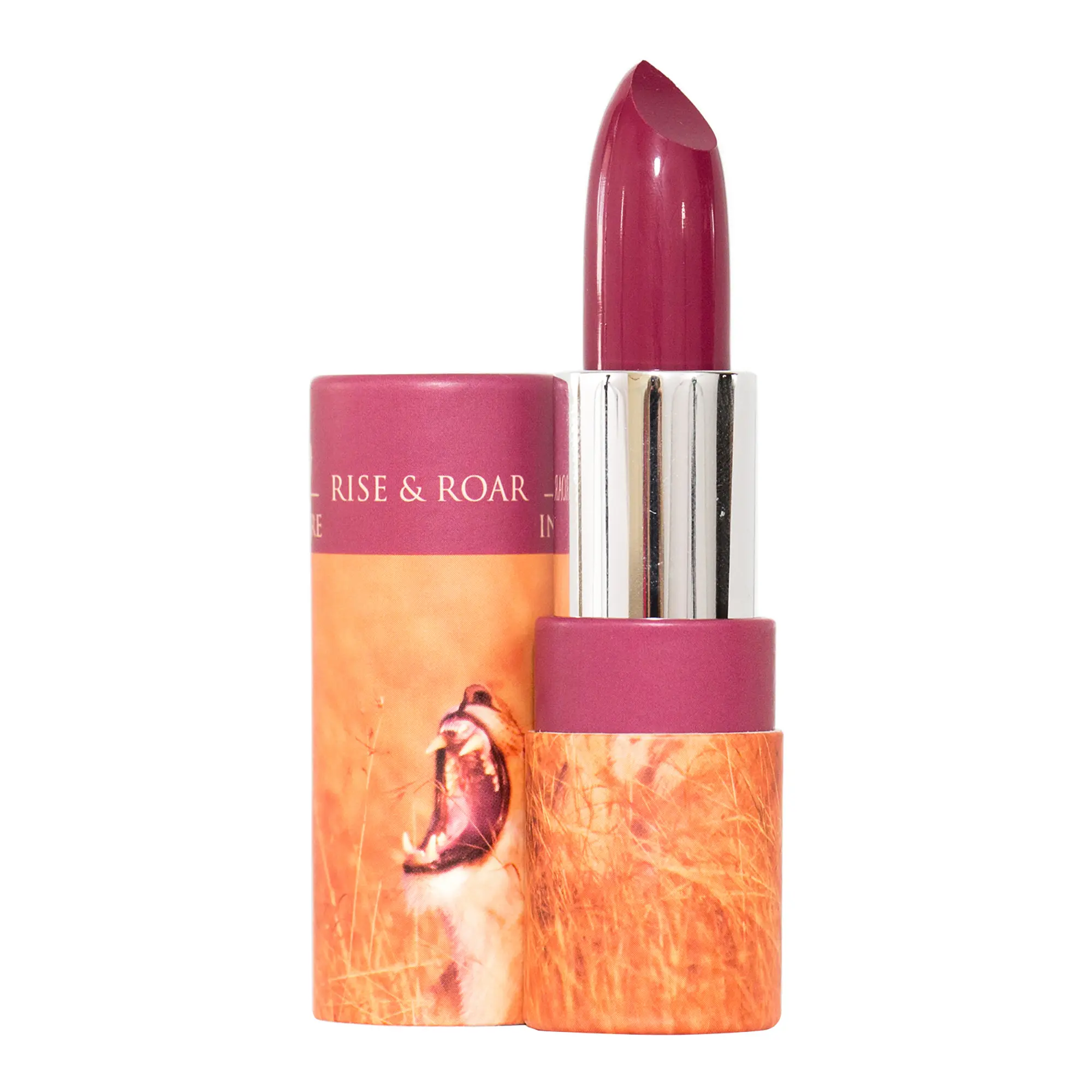 Cream Lipstick - 18 Rise and Roar by Defy and Inspire for Women - 0.134 oz Lipstick