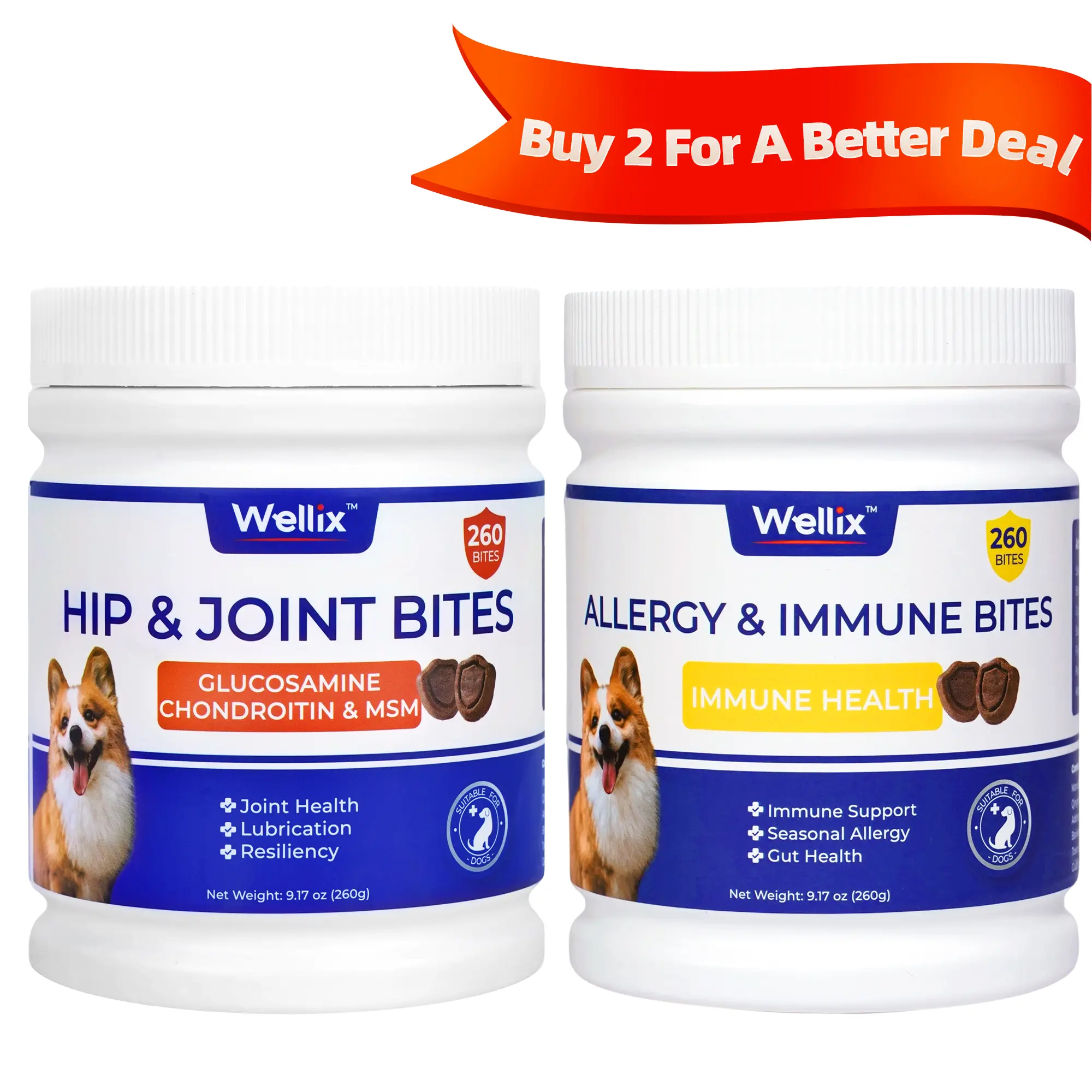 1 Hip & Joint 1 Allergy & Immune