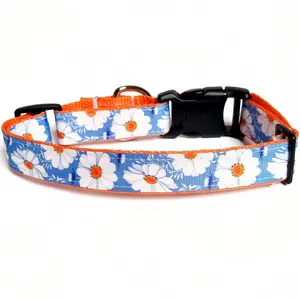 Daisy Floral Martingale Dog Collar