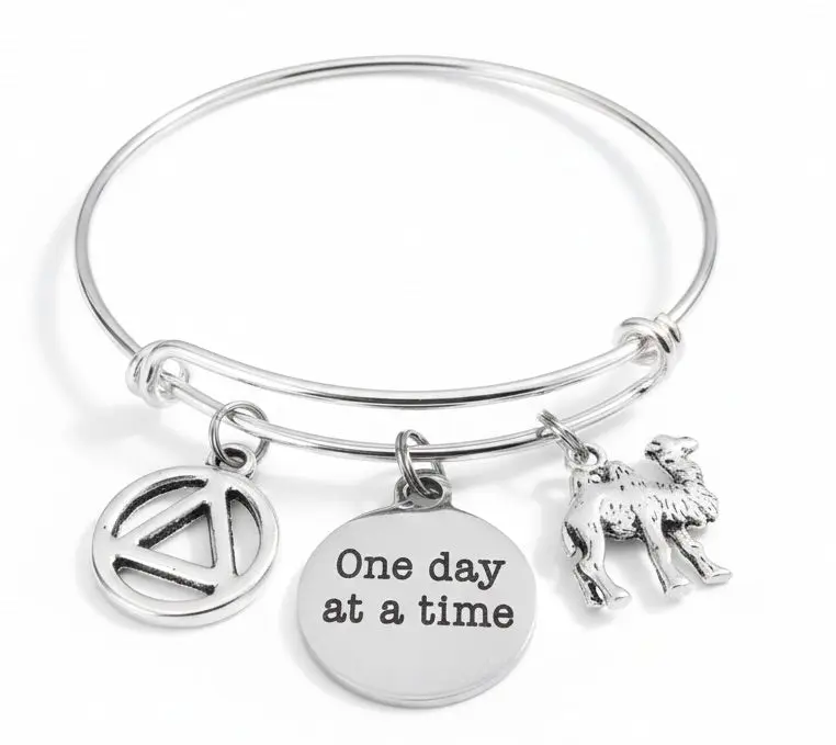 AA Recovery Bracelet | One Day at a Time Sobriety Gift | Camel Symbol Charm Bangle