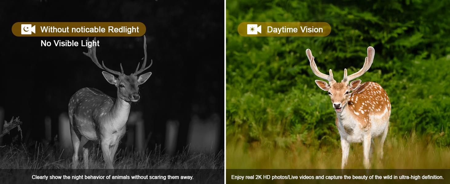 4G Remote Hunting Camera with GPS, 1.6K HD Night Vision, 0.1s Ultra-Fast Trigger, Clear Night Imaging, IP67 Waterproof, Built-in GPS Tracking, Suitable for Wildlife Monitoring / Hunting / Farm Security. Survival Kit