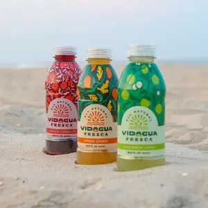 Vidagua Mixed Pack Agua Fresca – Fruit Drink (6-Pack)