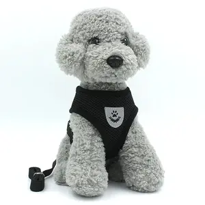 Reflective Vest and Leash for Small Dogs