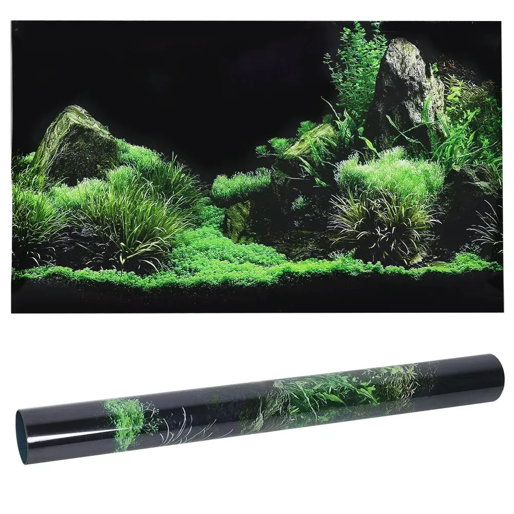 Aquarium Background