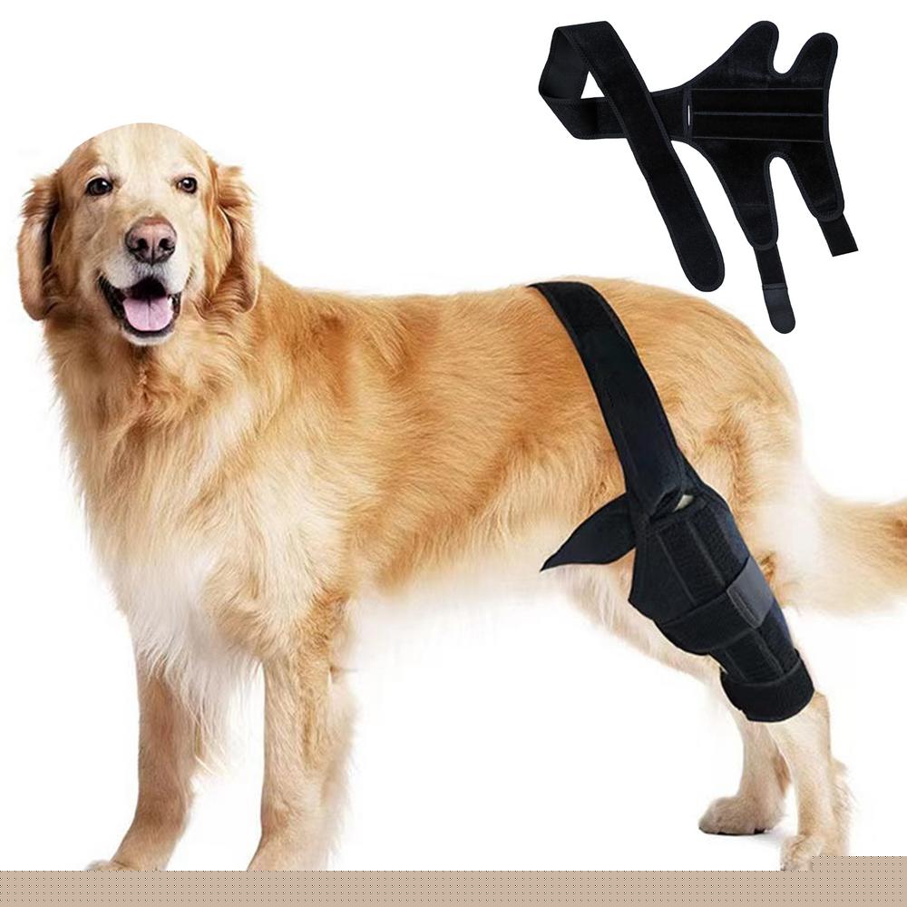 Dog Knee Protector Adjustable Black Dog Back Leg Brace Comfortable Knee Pad For Leg Injury Care Universal Leg Protector For