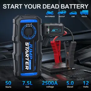 LupuAuto TX08 12V Up to 2500A Portable Jump Starter, for Up to 7.5L Gas & 5L Diesel Engines, USB Fast Charge, Type-C, LED Light & EVA Case