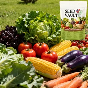 Vegetable Seeds Collection – 35 Different Varieties for Home & Outdoor Gardening