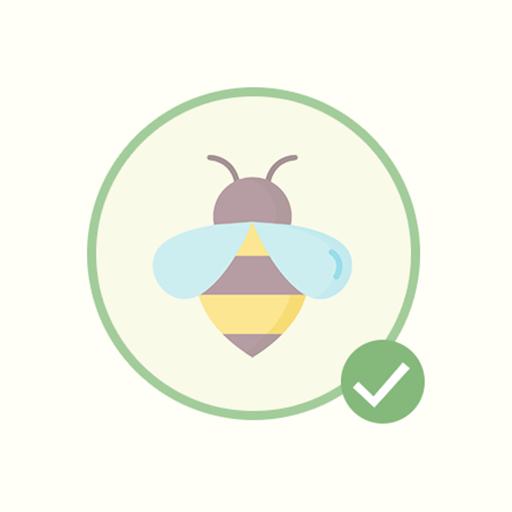 Peperomia Hope 'Peperomia tetraphylla'