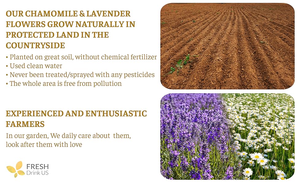 【FreshDrinkUS】 60 Chamomile Lavender Tea Bags, 100% Natural Ingredients, Hand-made Blend of Chamomile and Lavender Flowers, Eco-conscious Tea Bags. Chamomile Lavender Herbal Tea. No Sugar, No Caffeine, No Gluten, Vegan. Beverage