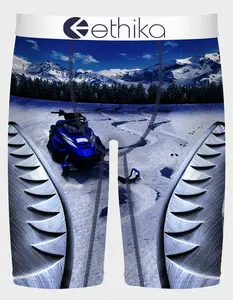 ETHIKA E Laska Staple Mens Boxer Briefs