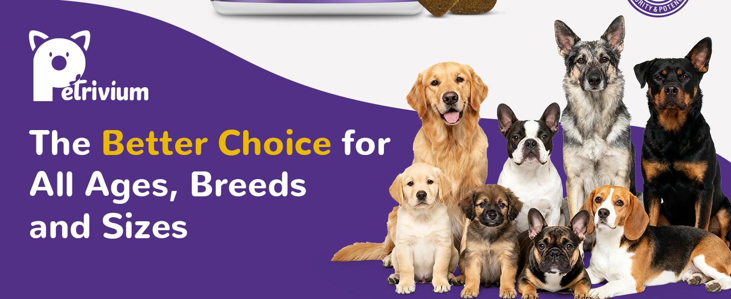 Melatonin for Dogs, Dog Melatonin Calming Chews for Small and Large Dogs - Natural Sleep Aid for Anxiety Stress Relief - Puppy Sleeping Pills - Thunder, Separation, Barking, 3mg, 120ct