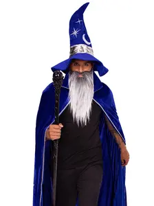 Wizard Costume Kit
