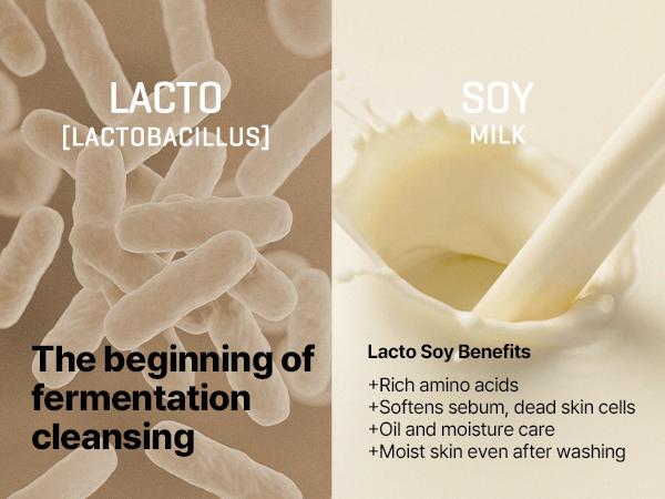 LACTO SOY ENZYME DEEP CLEANSING FOAM [100ml] - Enzyme foam for deep, gentle pore cleanse & sunscreen removal - Korean Skincare Facial Cleanser Foaming Cleanser