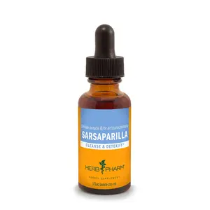 Sarsaparilla