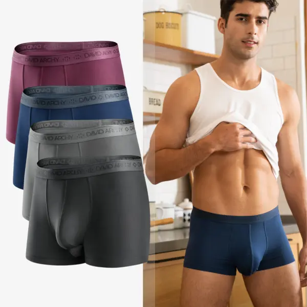DAVID ARCHY Men's Dual Pouch Micro Modal Trunks - 4-Pack Basic 2.5in Spandex Natural Fabric Menswear, Ice Silk Cooling, Odor Control, Breathable, Silky Soft Elasticity, Fly, Father's Day Summer Gift