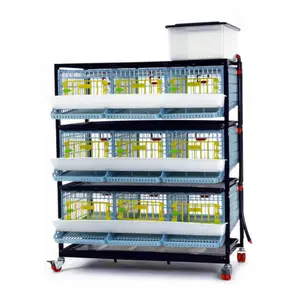 Quail Cage - 3 Layer