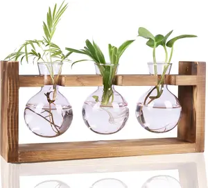 Glass Plant Terrarium Propagation Station - 3 Bulb  Vases with Retro Wood Stand Indoor Garden Planter - Wall Mounted & Desktop Decor for Home Kitchen Wedding, Gift for Plant Lover