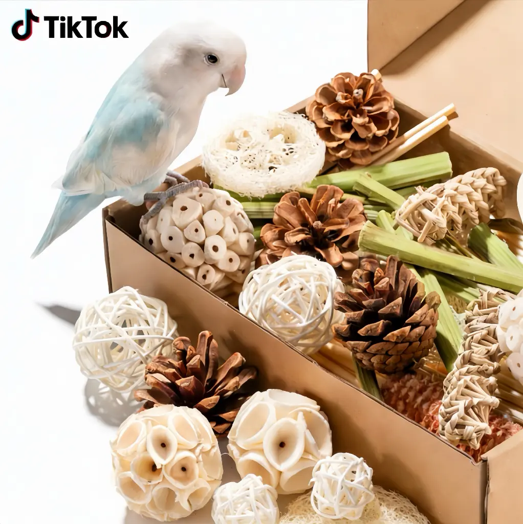 JOUSONTY 40Pcs Wood Rattan Mixed Textures Bird Training Aids Toys Set - Sound-Infused, Weather Resistant, For Parakeets, Encourages Natural Foraging, Includes Training Whistle