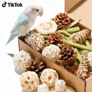 JOUSONTY 40Pcs Bird Toys • Natural Foraging for Parakeets, Cockatiels & Small Parrots