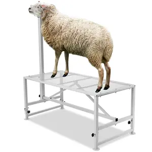 VEVOR Goat & Sheep Stand, TikTokShopBlackFriday, 51x23 inch Livestock Stand, Metal Livestock Milking and Shearing Stand 21" to 33" Adjustable Height, with Headpiece and Nose Loop, 500lbs Loading Weight, White