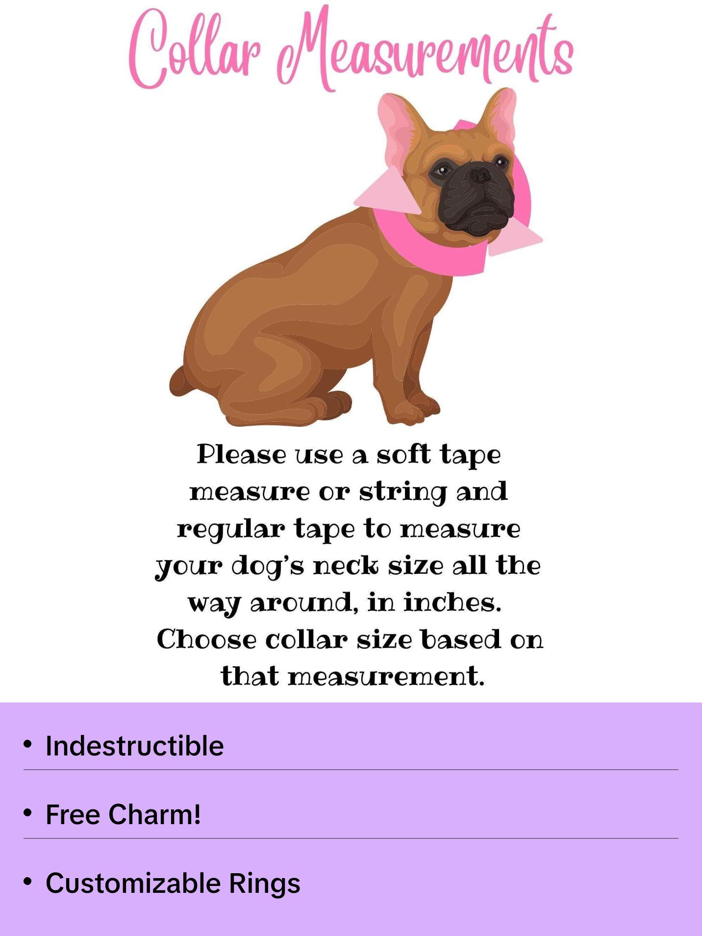 Halloween Beaded Dog Collar | Durable Dog Necklace | Orange, Black, & Purple Halloween Bead Collar | with Collar Charm