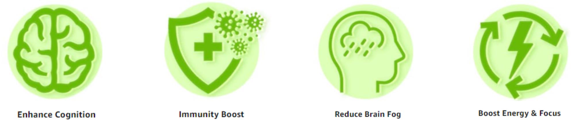 MAJU Organic Mental Mushroom Capsules (90ct) - Edible Extract Supplement w/ Lion's Mane, Cordyceps, Reishi & Chaga for Focus, Wellness & Immune Health Healthcare Dietary