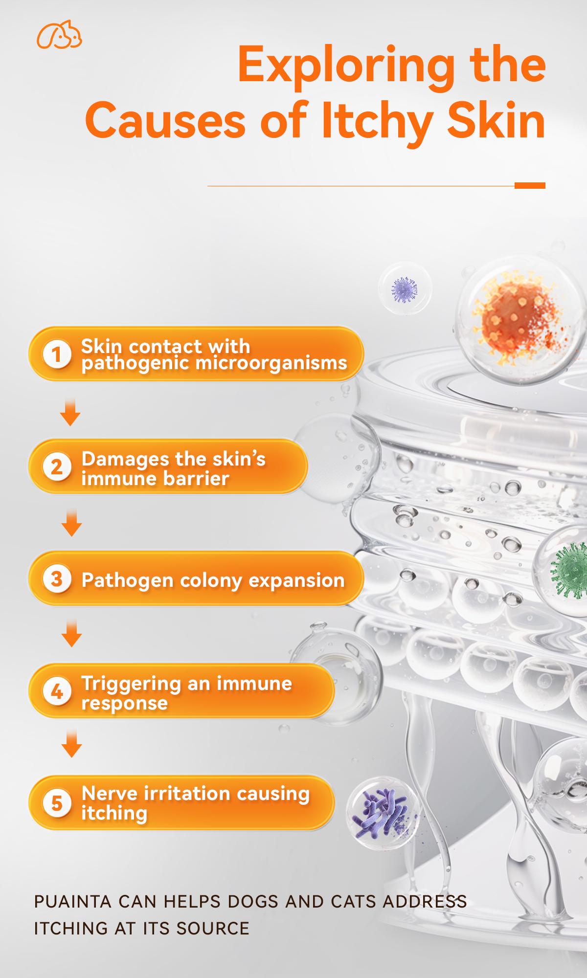 Itch Relief Spray for Dogs and Cats - PUAINTA Quantum Silver Hot Spot Care for Scratching and Redness, Natural Plant Based Formula for Allergies and Wounds, Vet Recommended Quality, Made in USA