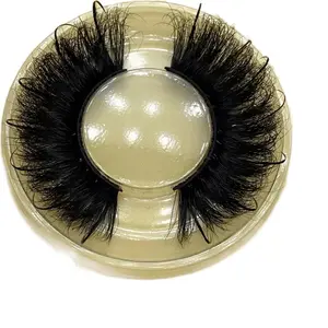 Babygirl Eyelashes Eyelash Extensions