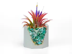 Amazonite Air Plant Holder | Succulent Crystal Geode Planter