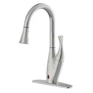 Flow-X Motion Activated Kitchen Faucet