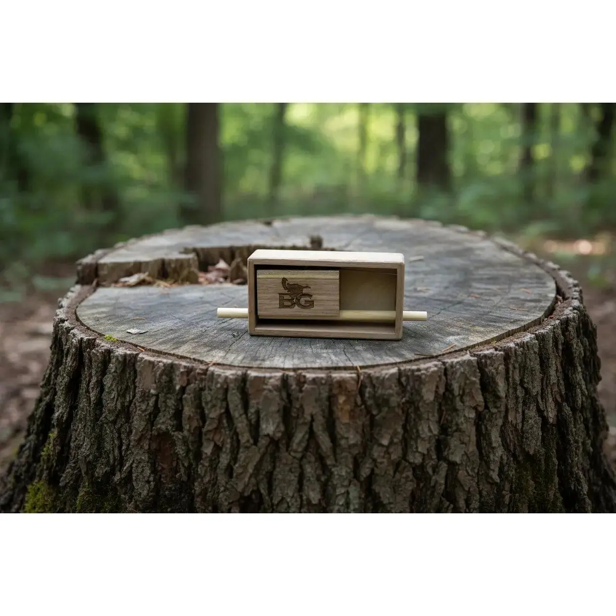 Push Button Turkey Call